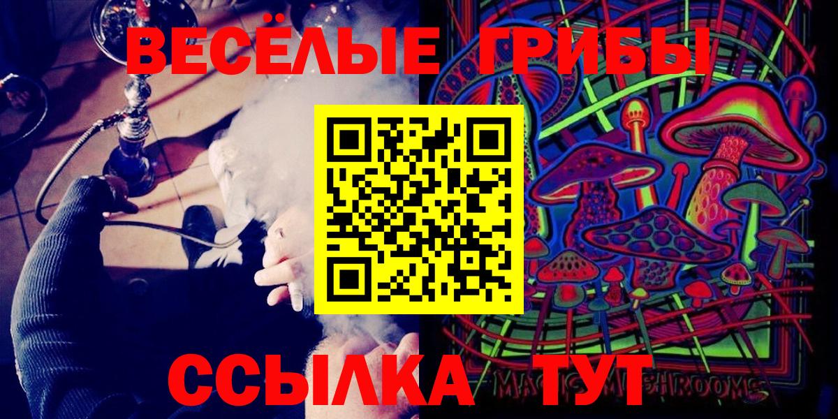 Псилоцибиновые грибы Psilocybine cubensis Грозный